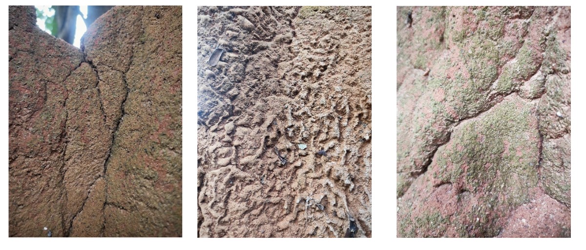 Termite surface
