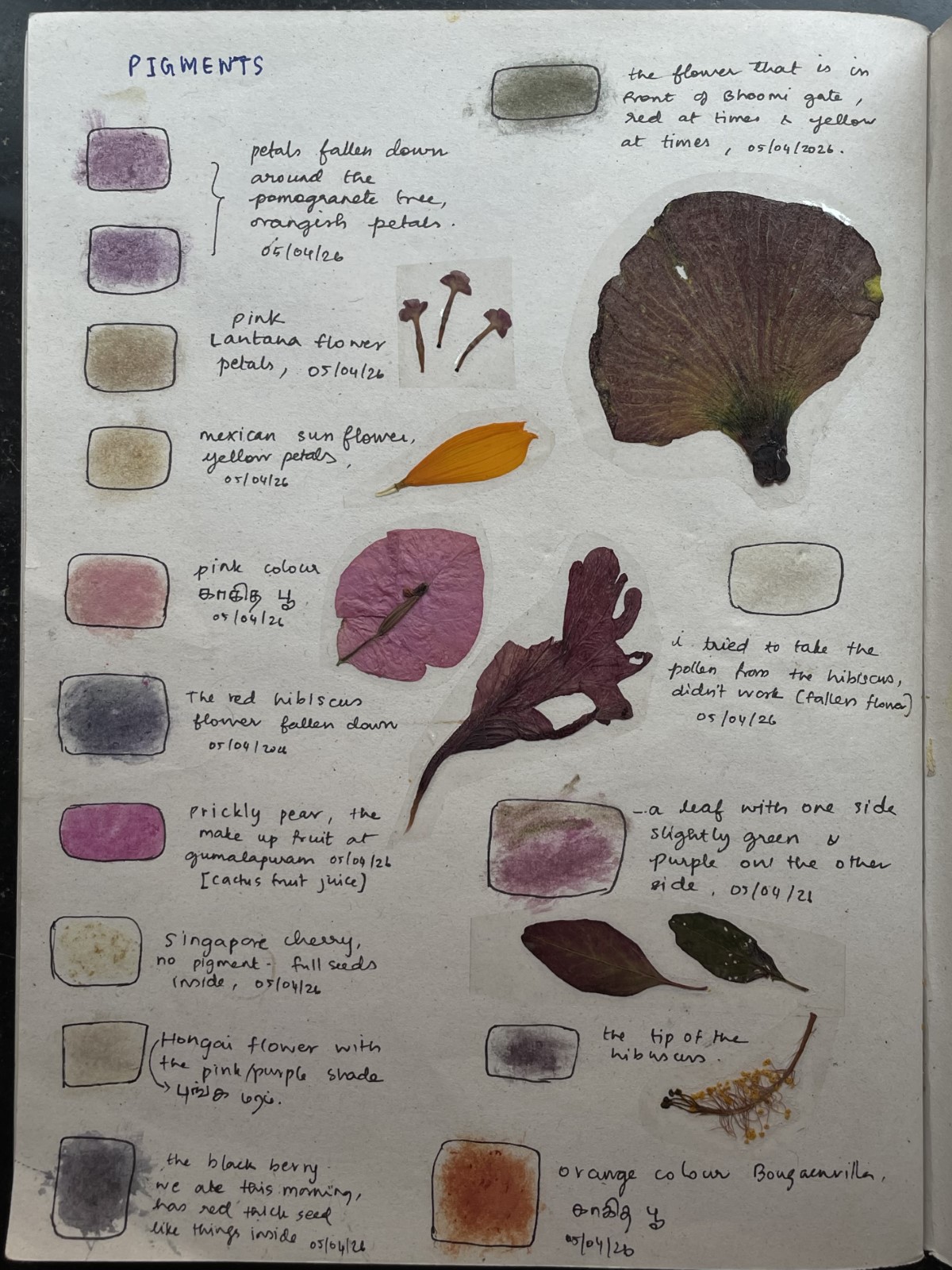 A Slice of Serendipity